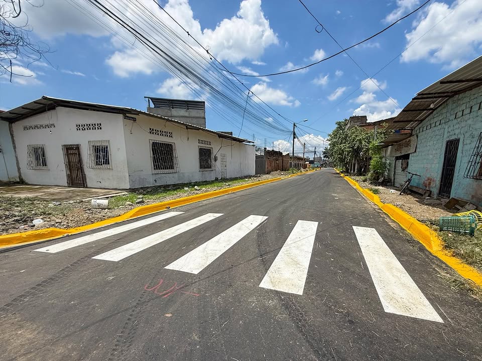 Asfaltado y señalización entregan a los vecinos de Los Robles en Naranjal