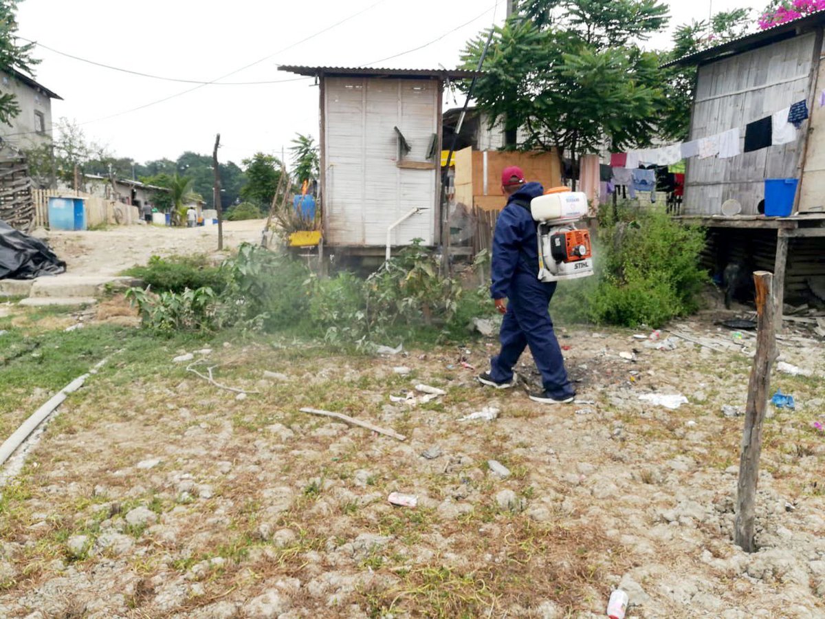 Fumigan 250 viviendas en La Unión para controlar plagas y virus